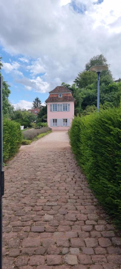 Ferienwohnung Am Kirchberg Ettenheim Zewnętrze zdjęcie